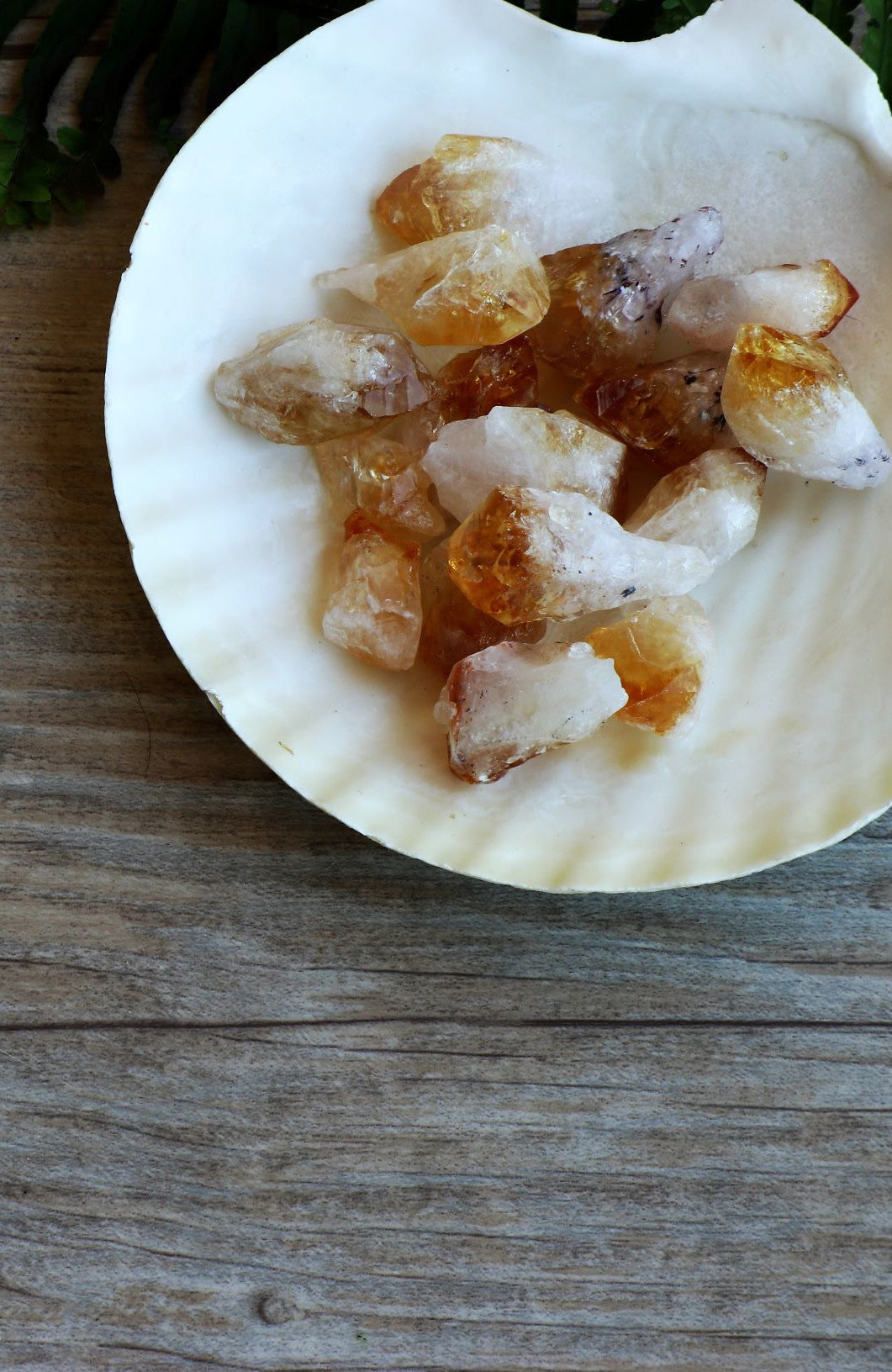 Citrine (Heat Treated) Points (Small)